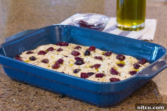 Golden Herb & Olive Focaccia 8 Blue baking dish with raw dough, studded with kalamata olives.