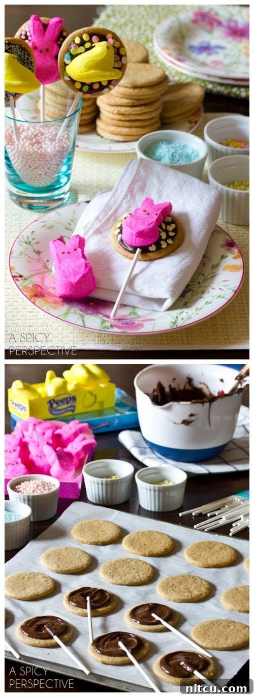 Hoppy Easter S'mores Cookie Sticks 2 Delightful Easter S'mores Cookie Pops with Marshmallow Peeps