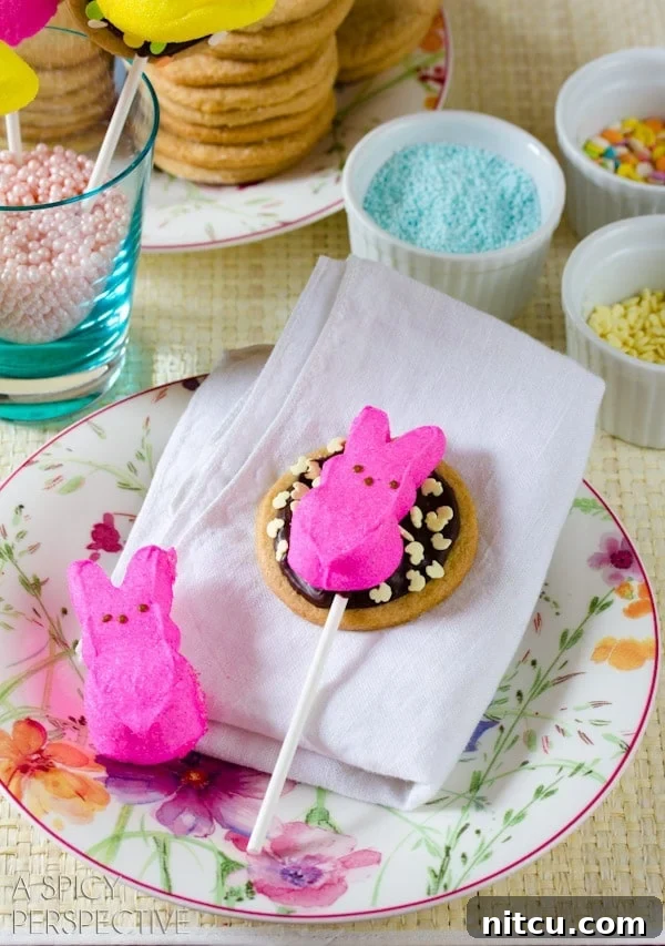 Hoppy Easter S'mores Cookie Sticks 3 Colorful Easter S'mores Cookies on a stick for spring celebrations