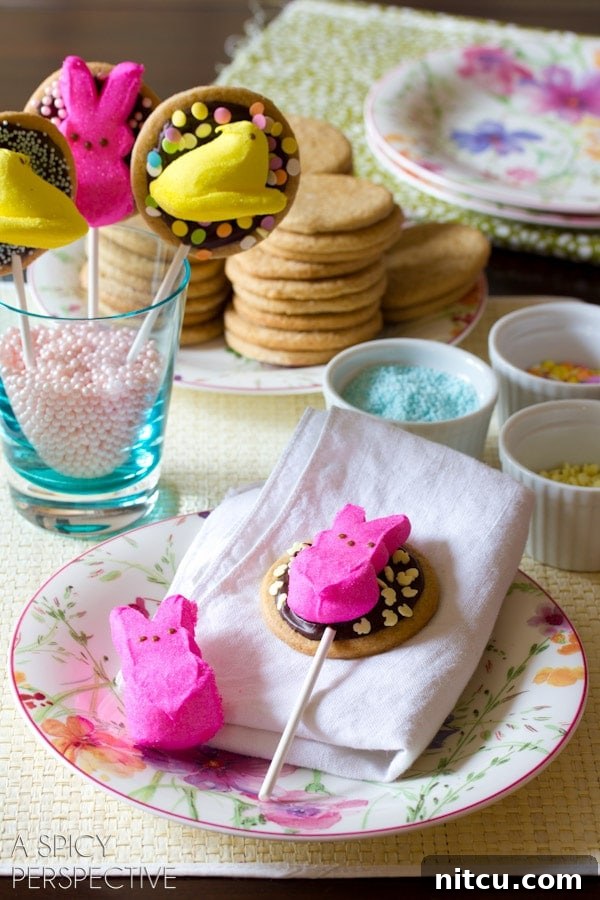 Hoppy Easter S'mores Cookie Sticks 4 Easter S'mores Cookie Pops: A fun and festive dessert idea