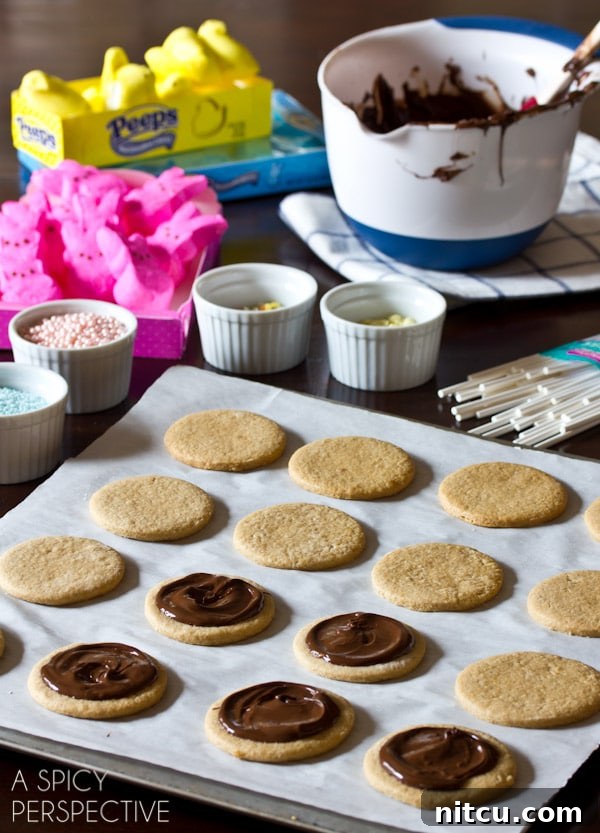 Hoppy Easter S'mores Cookie Sticks 5 Baking Easter S'mores Cookies with kids: a family-friendly activity