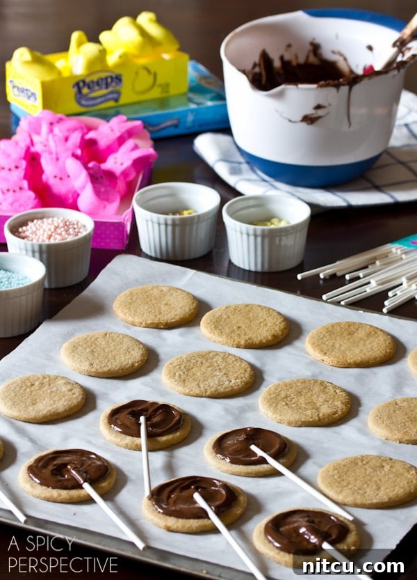 Hoppy Easter S'mores Cookie Sticks 6 Easy S'mores Cookie Pops for Easter with chocolate and Peeps