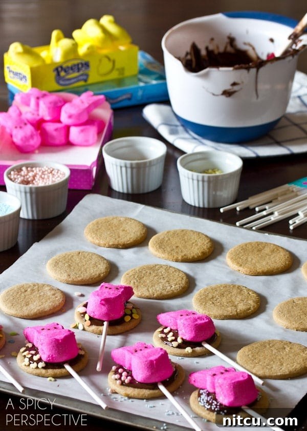 Hoppy Easter S'mores Cookie Sticks 7 Simple Easter S'mores Cookies: A delicious spring dessert recipe
