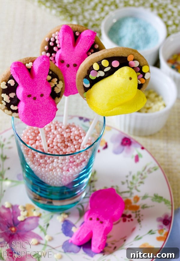 Hoppy Easter S'mores Cookie Sticks 8 Easter Cookie Pops with Peeps: The ultimate S'mores inspired treat