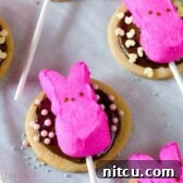 Hoppy Easter S'mores Cookie Sticks 9 Finished Easter S'mores Cookie Pops on a cooling rack