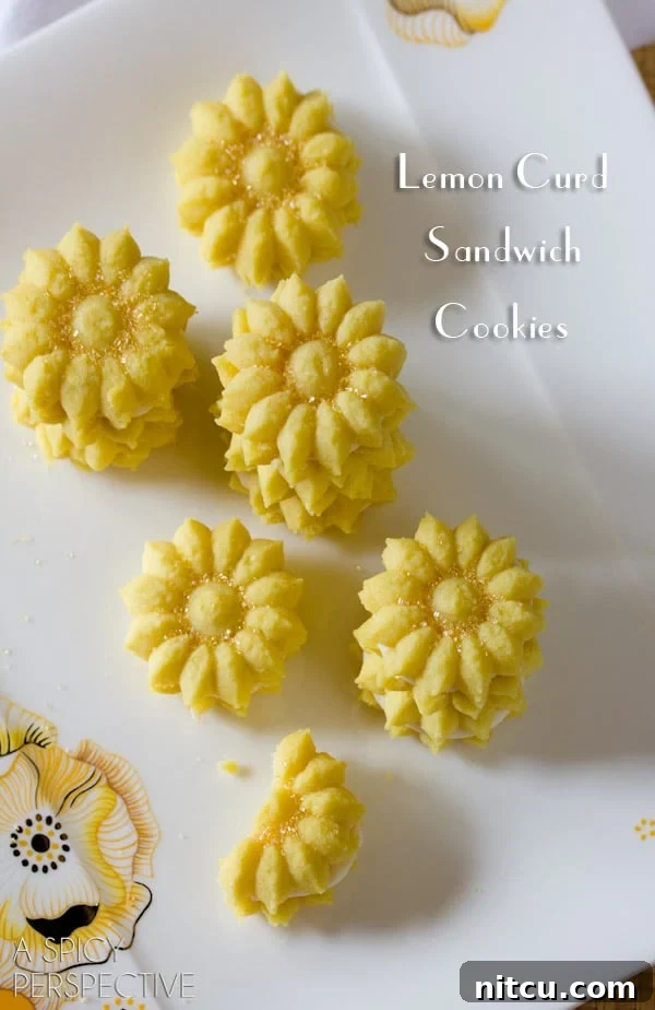 Zesty Lemon Spritz Delights 2 Lemon Spritz Cookies made with a Spritz Cookie Press