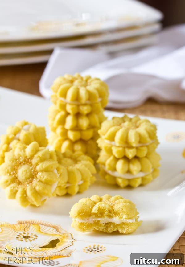 Zesty Lemon Spritz Delights 5 Lemon Spritz Cookie Recipe - made with a cookie press gun and sandwiched together with lemon filling