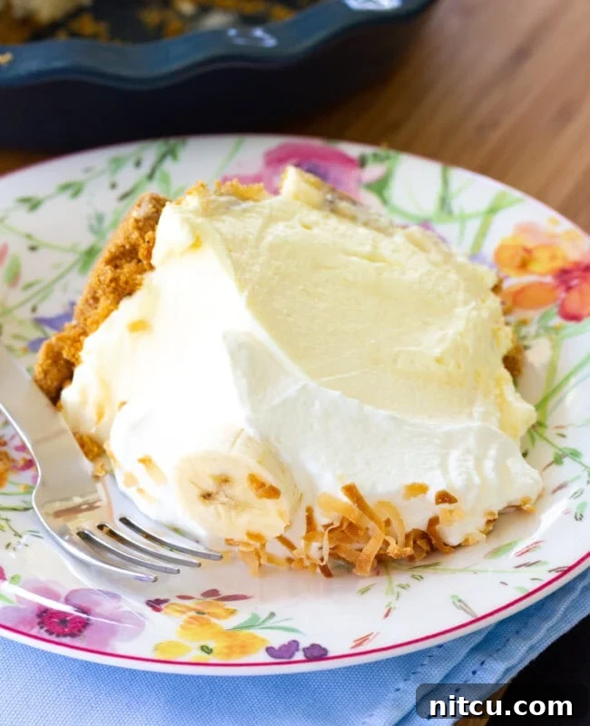 Velvet Banana Indulgence 4 A close-up slice of banana cream pie on a white plate, highlighting the layers of crust, bananas, creamy filling, and whipped topping.