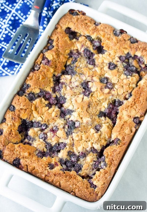 A baking pan filled with uncut Blueberry White Chocolate Blondies, ready to be cooled and sliced.