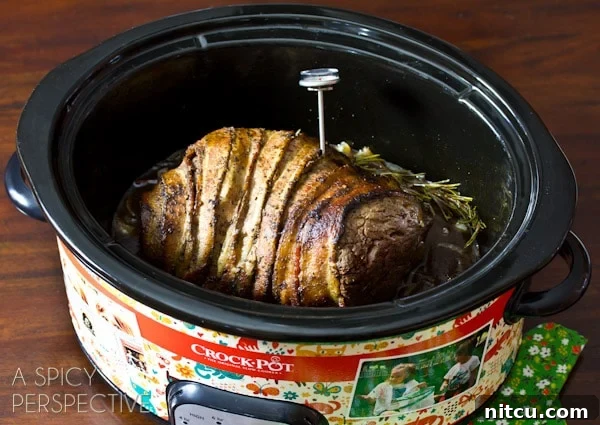 Perfect Meat Temperature Every Time 14 Best Meat Thermometers for Large Roasts and Whole Poultry