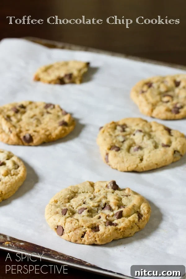 Convection Chocolate Chip Cookies on baking sheet 