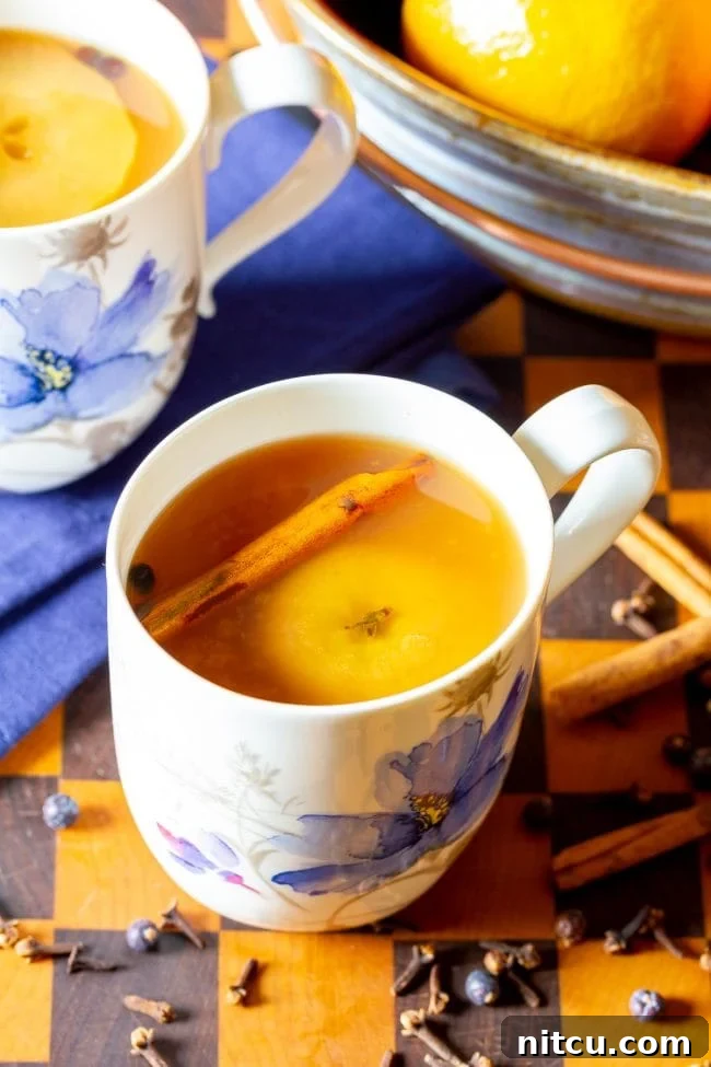 Fireside Wassail Delight 2 Mug of wassail cider with a cinnamon stick in the mug.