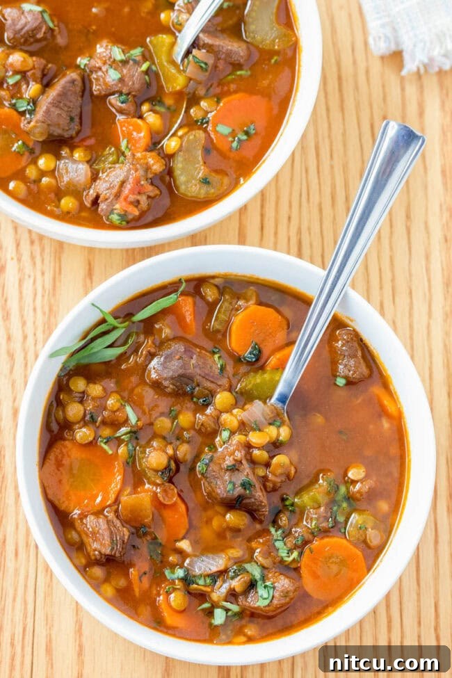 Hearty Beef and Lentil Braise 2 Best Beef and Lentil Stew Recipe in bowl, overhead view