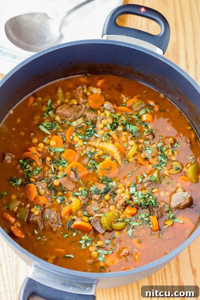 Hearty Beef and Lentil Braise 3 Zesty Lentil Stew Recipe in large pot