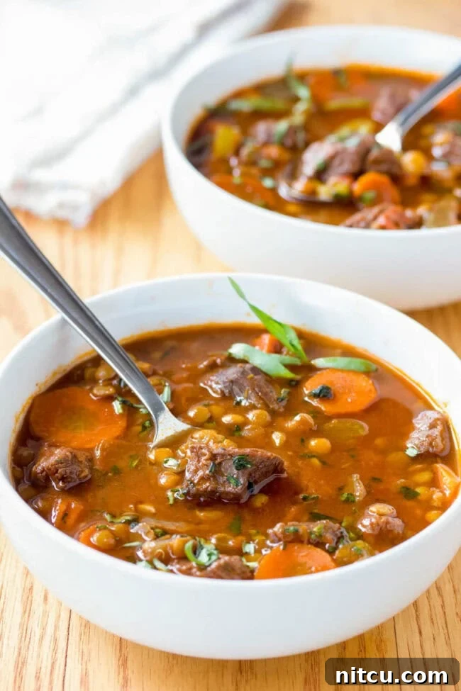 Hearty Beef and Lentil Braise 4 Beef Lentil Stew in bowl with spoon