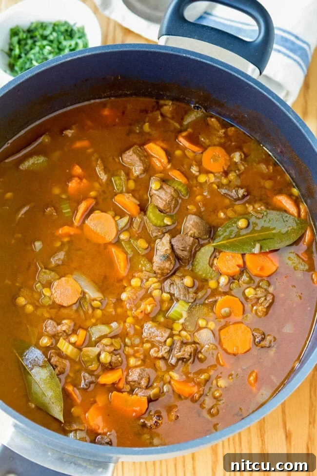 Hearty Beef and Lentil Braise 8 Lentil Stew in pot with beef and bay leaves
