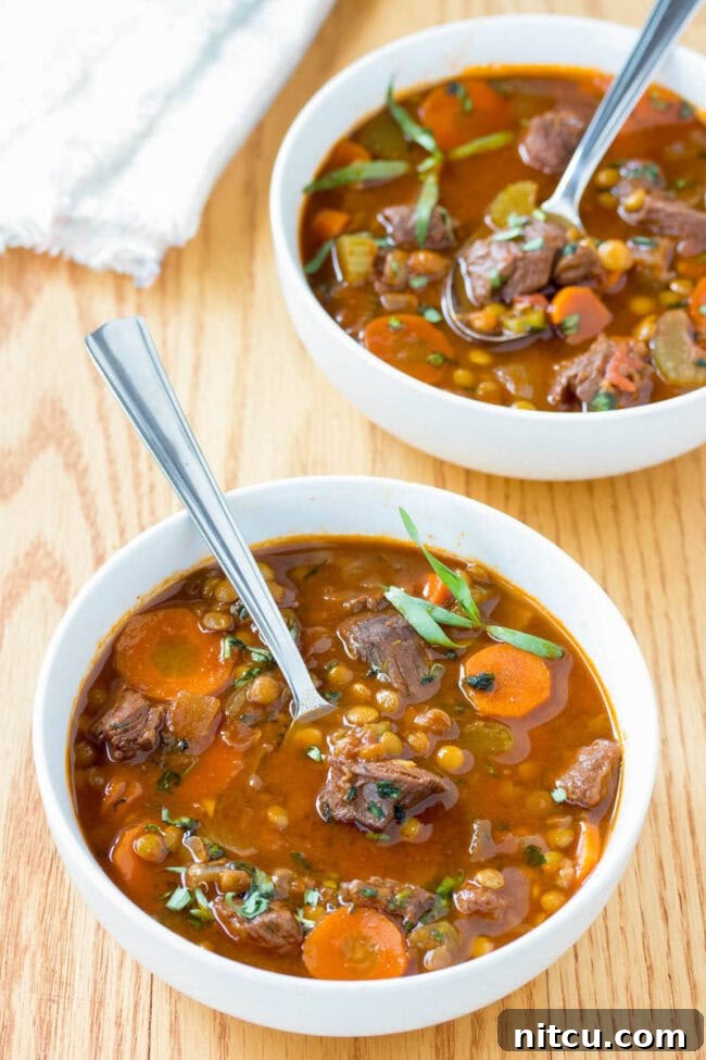 Hearty Beef and Lentil Braise 9 Fabulous Beef Stew Recipe in bowls