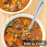 Hearty Beef and Lentil Braise 10 img 2505 9