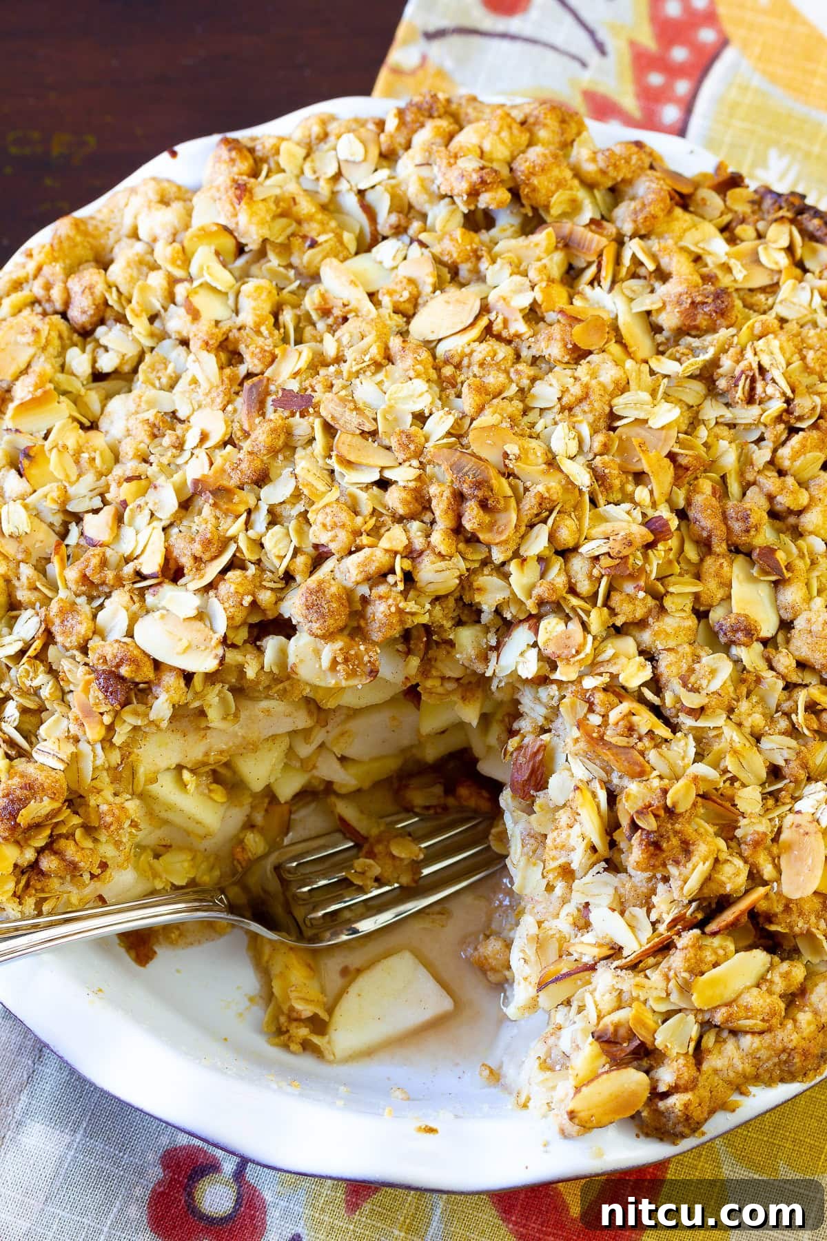 Close-up of a crispy easy Dutch Apple Pie topping