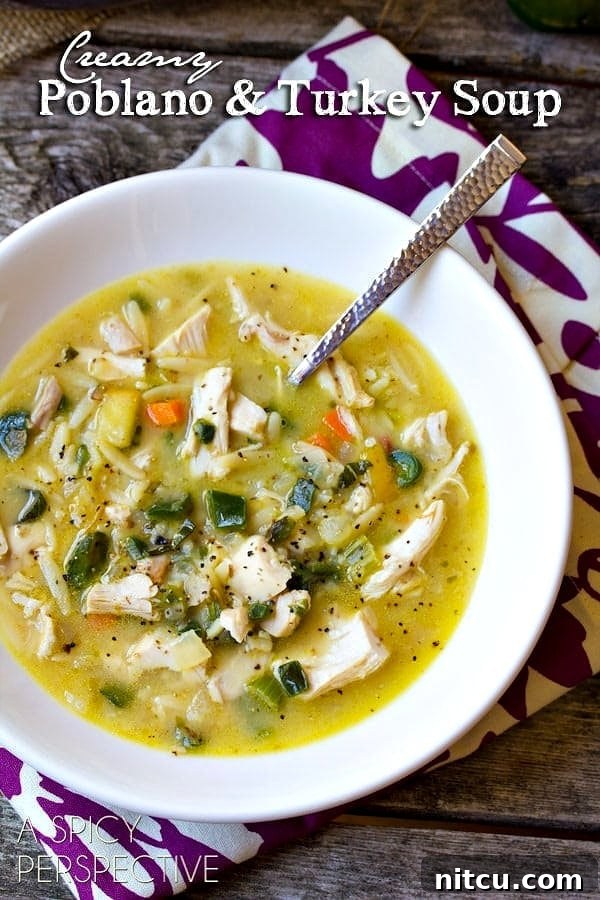 Spicy Turkey Remnants Soup 2 Creamy Spicy Leftover Turkey Soup Recipe with Poblano Peppers in bowls