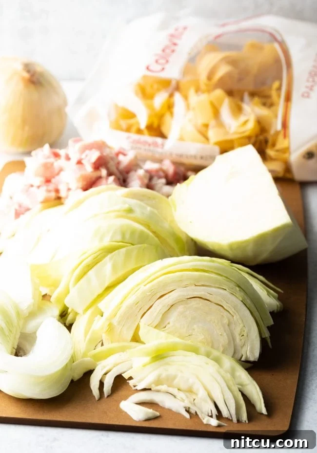 Essential ingredients for making Easy Hungarian Haluski with Cabbage and Noodles