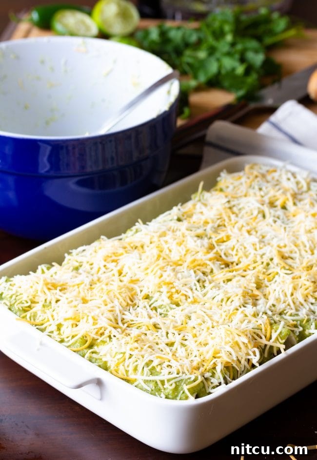 A baking dish filled with unbaked enchiladas, ready to go into the oven.