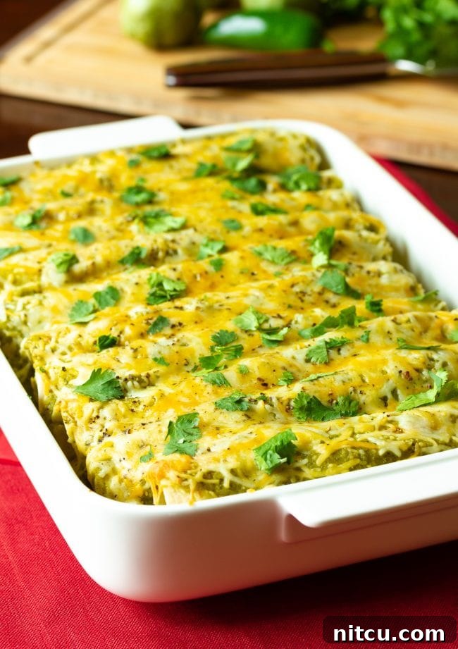 A large baking dish filled with bubbling, golden-brown baked Salsa Verde Chicken Enchiladas, fresh out of the oven.