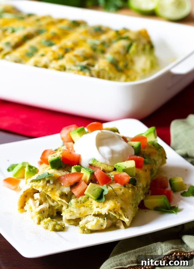 A close-up view of a serving of Salsa Verde Chicken Enchiladas, beautifully plated and topped with creamy avocado slices.