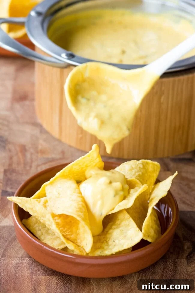 Cheese sauce makes or breaks any nacho recipe. The Best Queso recipe is easy and flavorful, with sharp and smoky notes. Start dipping those tortilla chips! #ASpicyPerspective #queso #cheese #dip Rich, golden cheese sauce dripping over a pile of crispy tortilla chips, being served with a ladle.