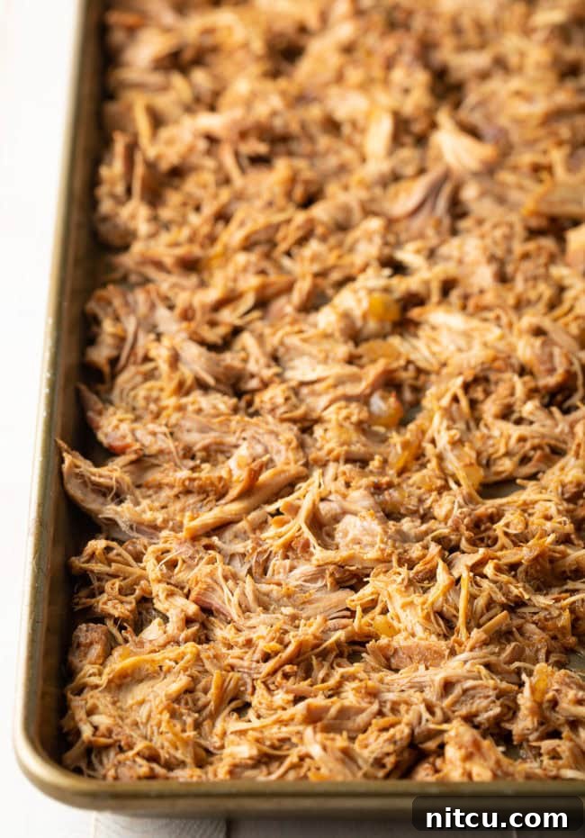 Crispy Pork Carnitas Made Easy 7 Shredded carnitas spread evenly on a baking sheet, prepared for broiling to achieve crispy edges.