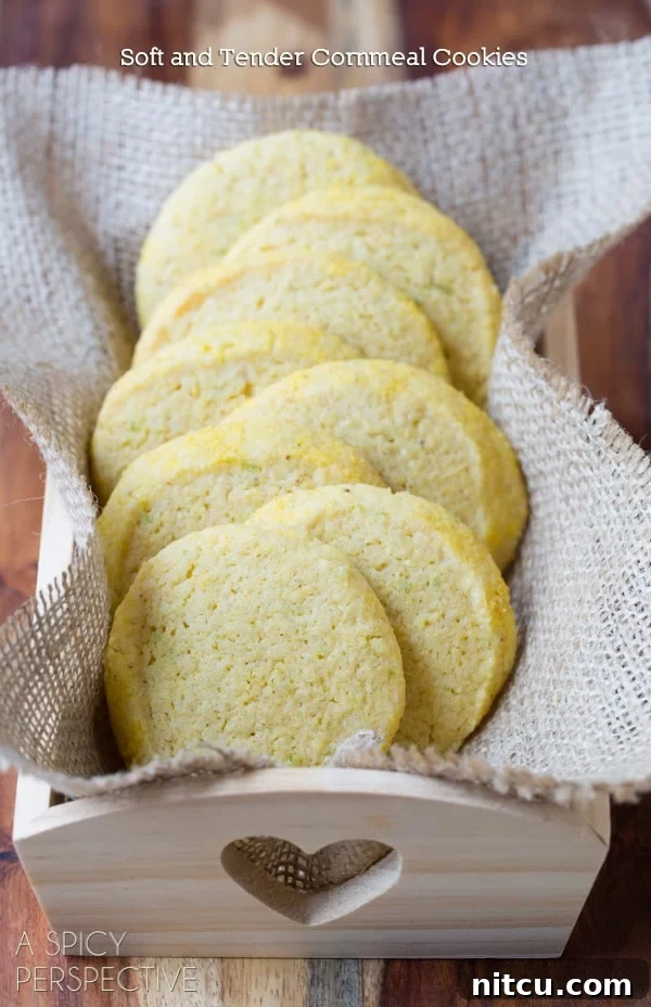 Sun-Kissed Cornmeal Treats 2 Sugar Cookies stacked in a box, showcasing their golden hue and inviting texture.