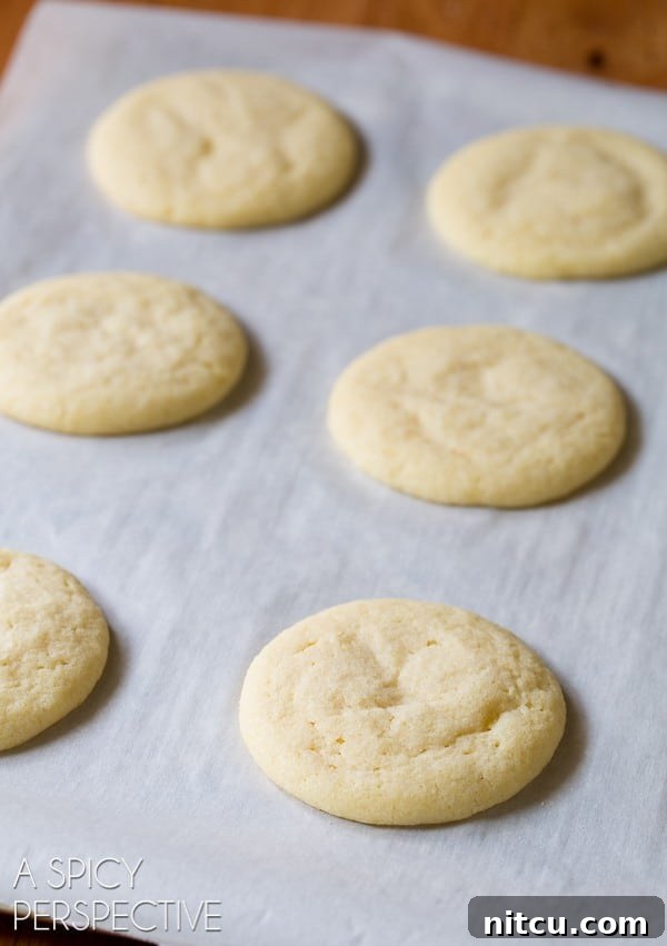 Sun-Kissed Cornmeal Treats 8 Baked sugar cornmeal cookies on parchment paper, fresh from the oven and cooling.