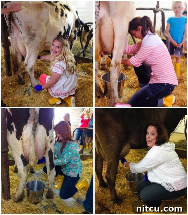 Milking Competition at Blue Diamond Dairy, a fun and educational experience. #kitchenconvo