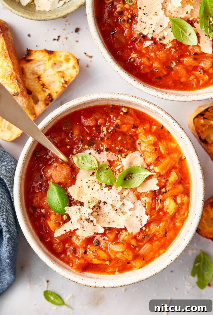 Rustic Italian Tomato Bread Soup Pappa al Pomodoro 11 A beautifully plated bowl of Pappa al Pomodoro, garnished with fresh basil, against a rustic background, highlighting the soup's vibrant color and texture.