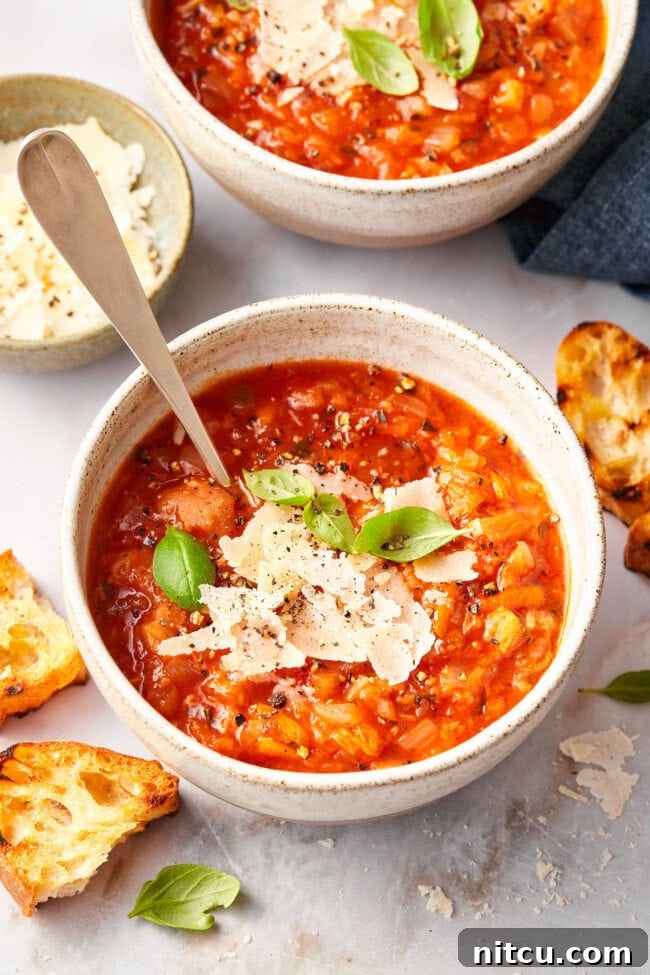 Rustic Italian Tomato Bread Soup Pappa al Pomodoro 4 A bowl of chunky Tuscan tomato soup, Pappa al Pomodoro, garnished with fresh Parmesan cheese shavings and a silver spoon resting inside.