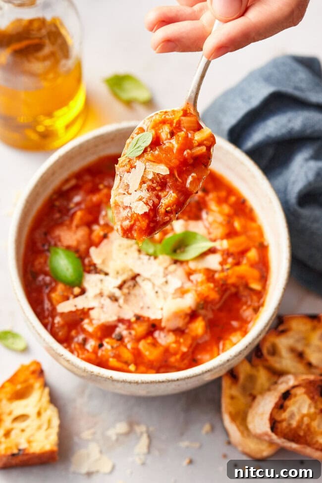 Rustic Italian Tomato Bread Soup Pappa al Pomodoro 10 A close-up shot of a bowl of chunky Italian tomato soup with a silver spoon, highlighting its rich texture and steam rising.