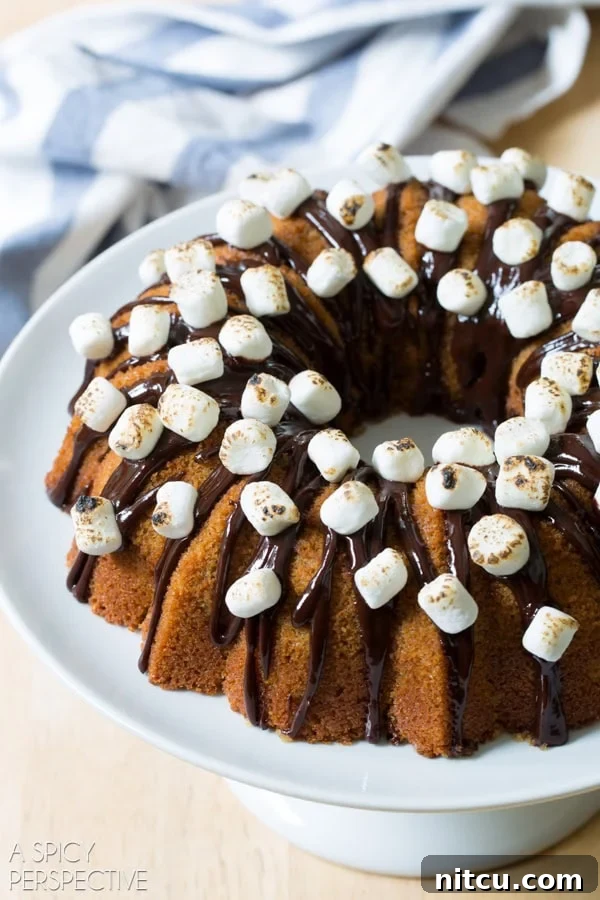 Stuffing Crown 11 S'mores Bundt Cake - Brilliant Bundt Cakes Ebook Release Party! #bundtcake #ebook