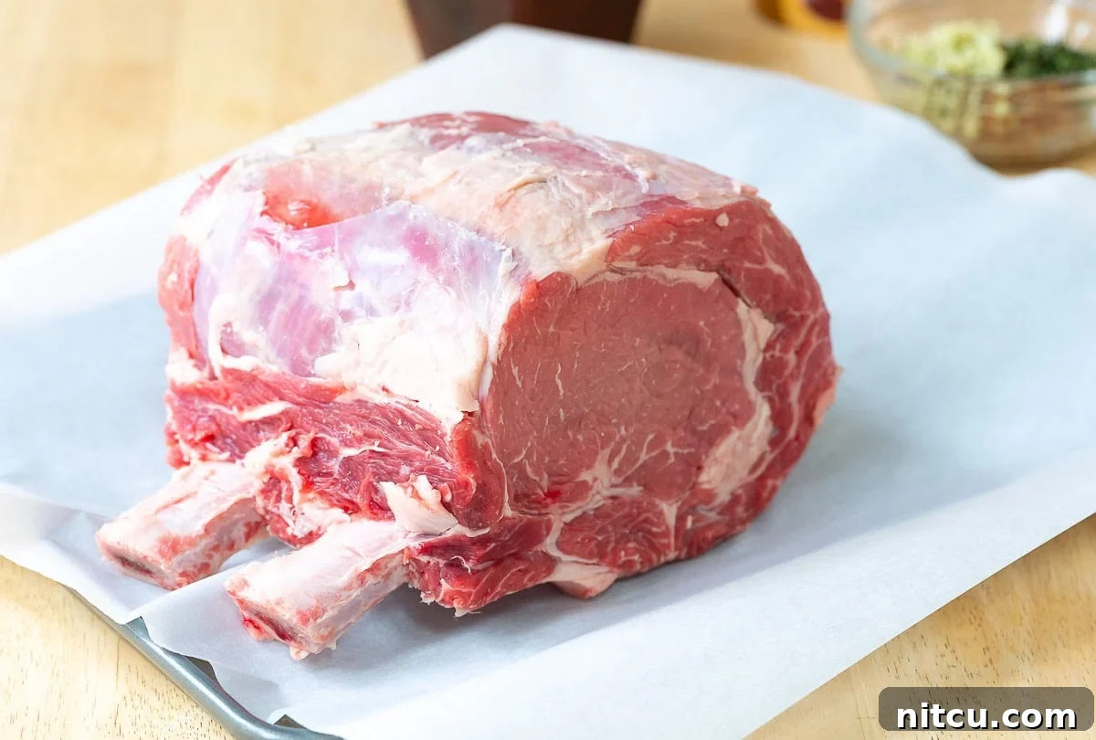 The Grand Prime Rib Roast 4 A raw standing rib roast sits on a baking sheet, ready for seasoning and preparation.