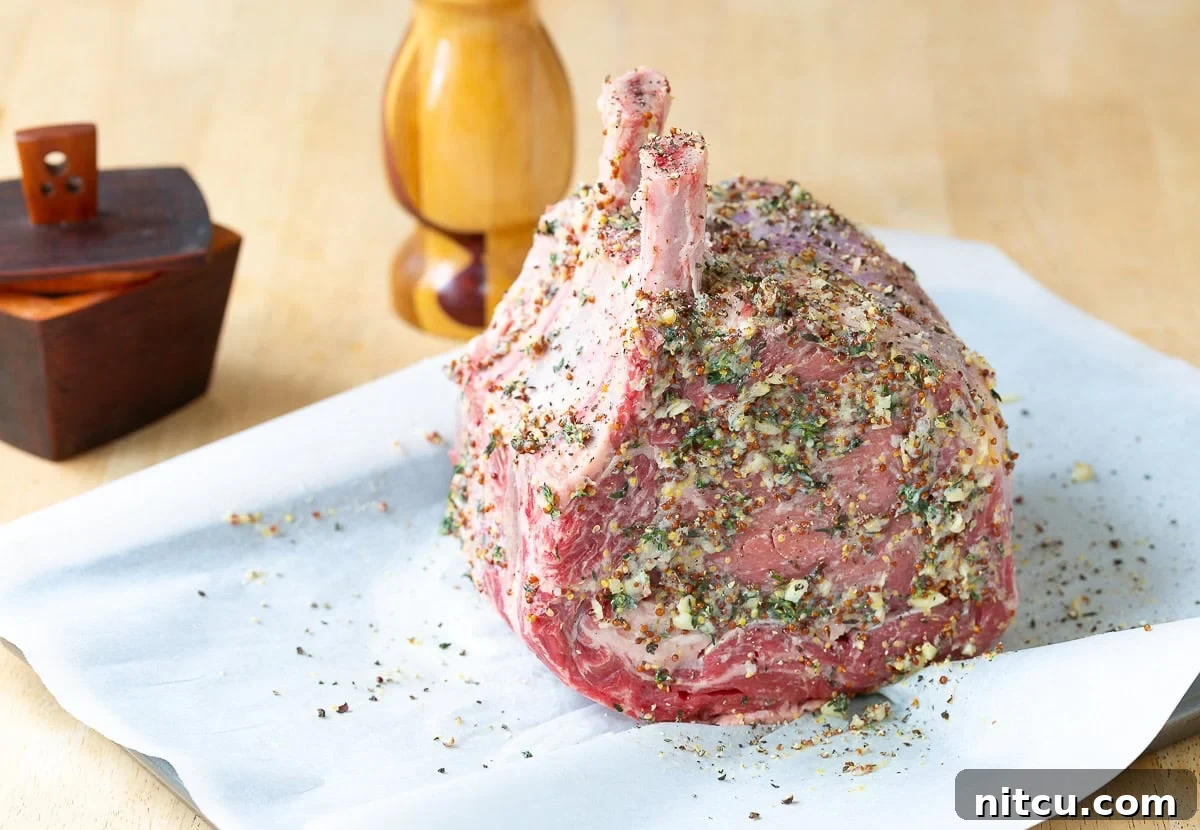 The Grand Prime Rib Roast 5 The standing rib roast is generously covered in a fragrant herb and mustard marinade, prepared for roasting.