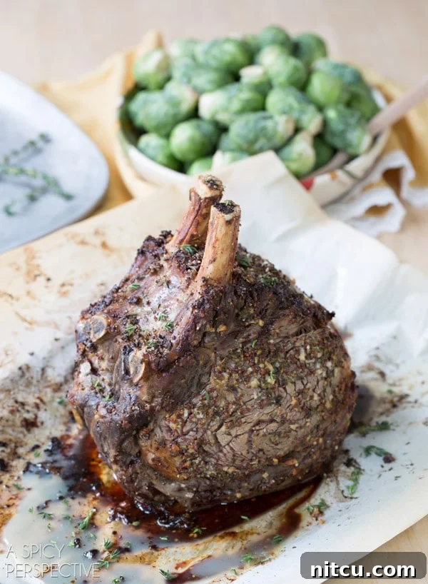 The Grand Prime Rib Roast 6 A perfectly roasted standing rib roast rests on a baking sheet after being removed from the oven.