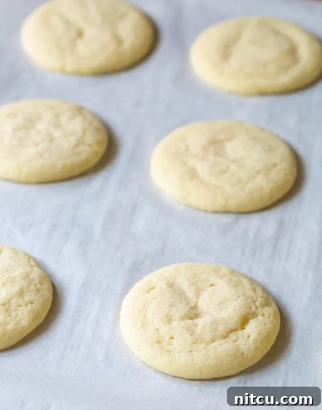 Simply Irresistible Sugar Cookies 6 sugar cookie recipe - after baking, showcasing a delicate sugar coating and uniform shape.