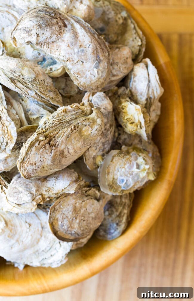 Mastering the Oyster Shuck 2 How to Shuck Oysters - bowl full of raw oysters