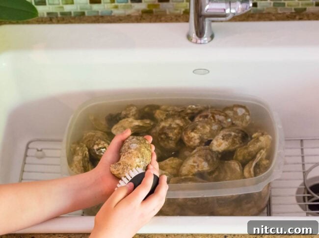 Mastering the Oyster Shuck 7 Oyster shucking knife and towel.