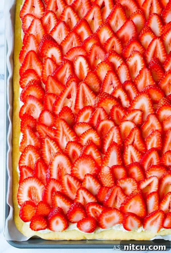 Strawberry Pizza, Summer Dessert, Fruit Pizza, Goat Cheese Delicious Strawberry Pizza with goat cheese and a sugar cookie crust, perfect for summer dessert.