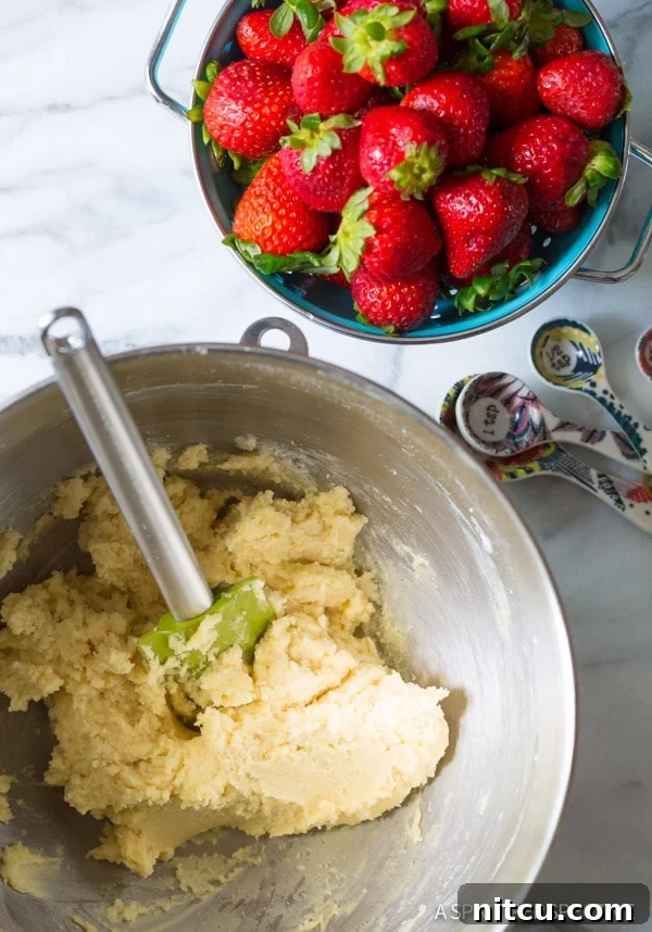 Sugar Cookie Dough, Dessert Base, Homemade Cookie Homemade sugar cookie dough ready for baking, the base for the strawberry dessert pizza.