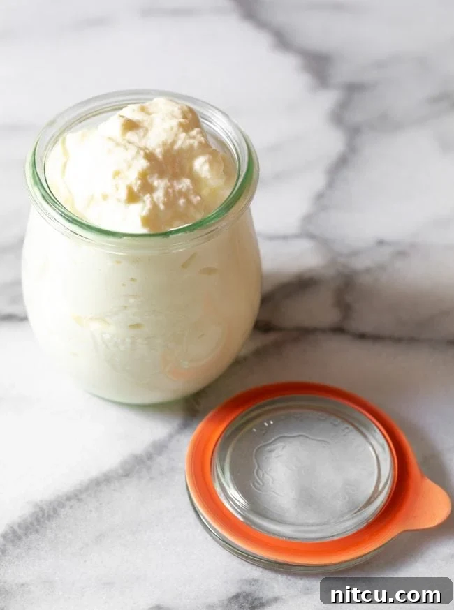 Homemade Ricotta Cheese – So Easy to Make! #RicottaCheese #HomemadeCheese #EasyRecipe A glass jar filled with fresh, creamy homemade ricotta cheese, with the lid removed and resting beside it, emphasizing its rustic appeal and delightful texture.