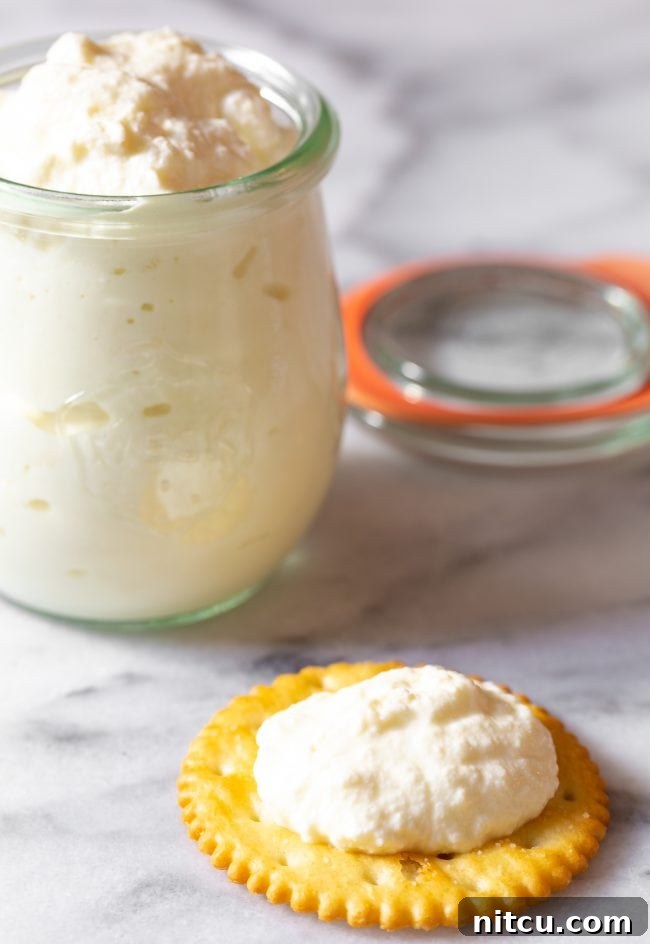 Cheese on Cracker #RicottaCheese #HomemadeSnack #SimpleDelights A delicious circular cracker topped with a generous dollop of creamy homemade ricotta cheese, ready for a delightful bite. In the background, a jar of fresh ricotta cheese awaits.