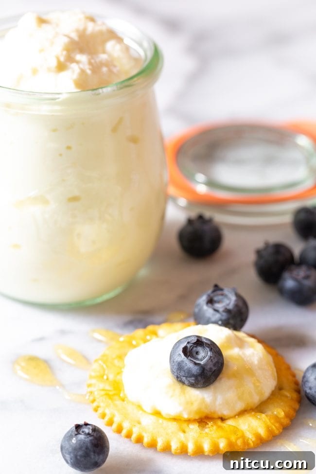 Crafting Creamy Ricotta at Home 3 A crisp cracker adorned with a dollop of creamy homemade ricotta cheese, a fresh blueberry, and a delicate drizzle of honey. In the background, a glass jar of ricotta cheese hints at the delicious bounty.