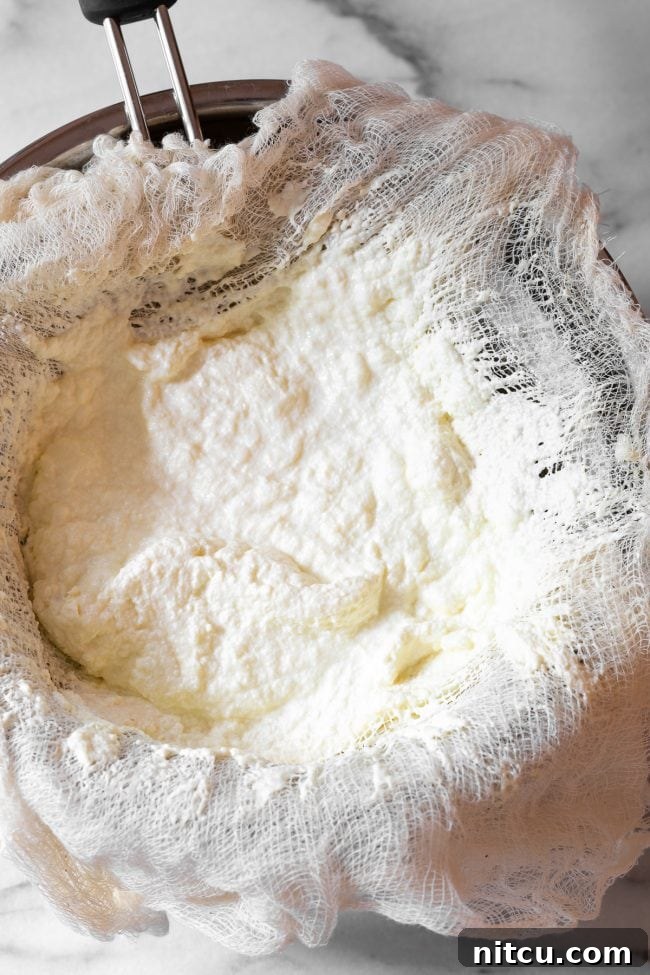 Crafting Creamy Ricotta at Home 4 Rich, creamy ricotta cheese curds collected on a cheesecloth, resting over a metal bowl, illustrating the separation of curds from whey.