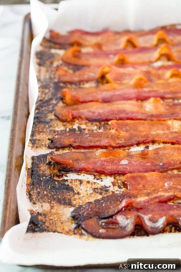 Cola-Candied Bacon 4 How to Make Easy 2-Ingredient Coca Cola Bacon Recipe
